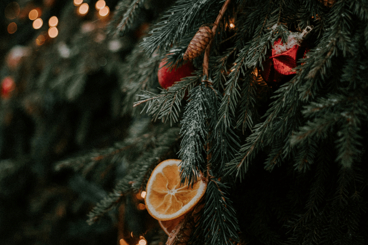 Weihnachtsdüfte in einem Bild vereint: Orangenscheiben, Tanne und Tannenzapfen