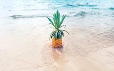 Eine Ananas im Meer für Frische Düfte als Symbolbild