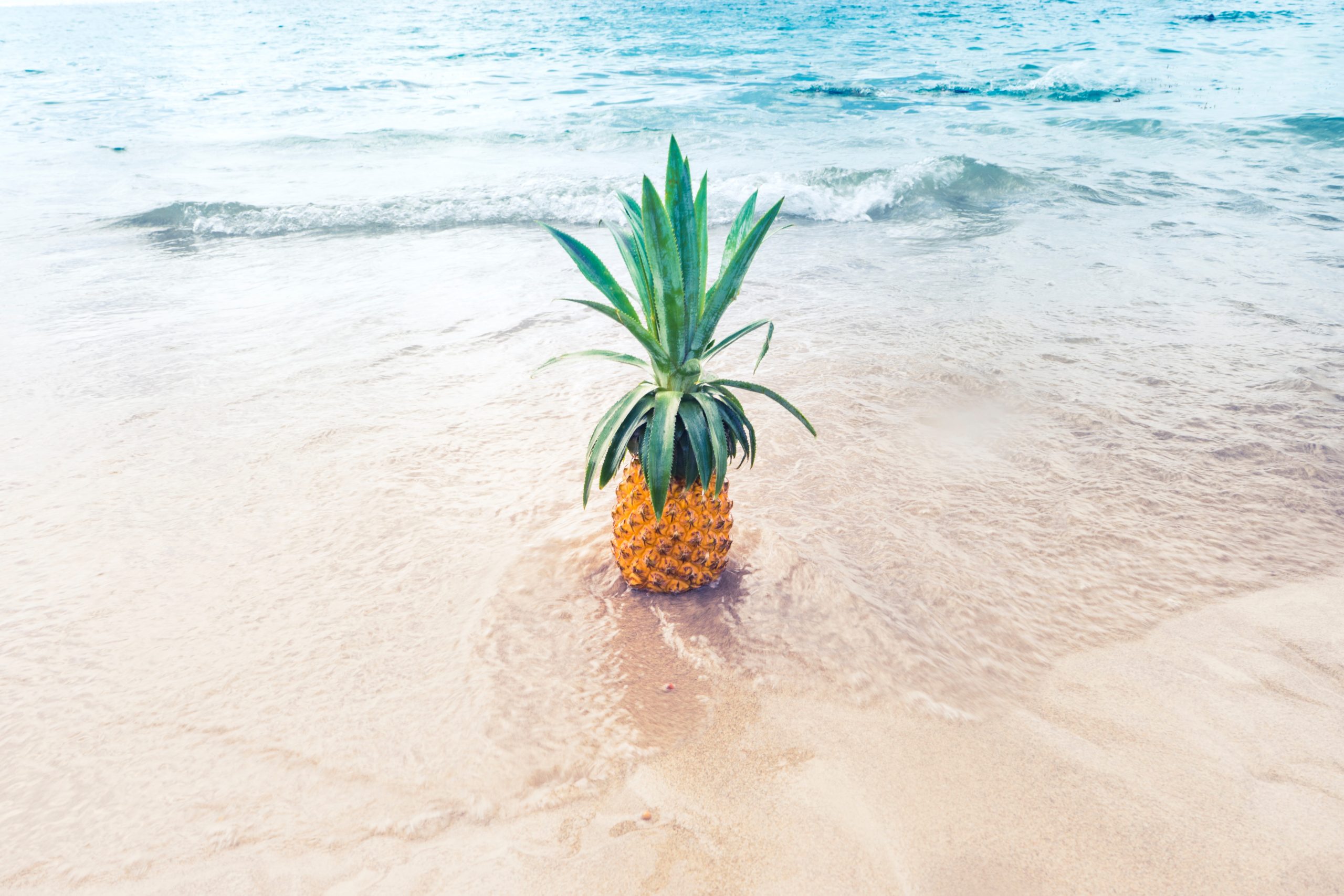 Eine Ananas im Meer für Frische Düfte als Symbolbild