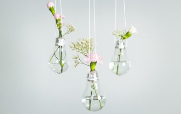Blumen und Blüten in Glühbirne als Vase aufgehängt für Deko