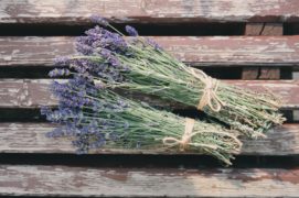 LAvendel