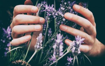 Frauen Hände mit Lavendel