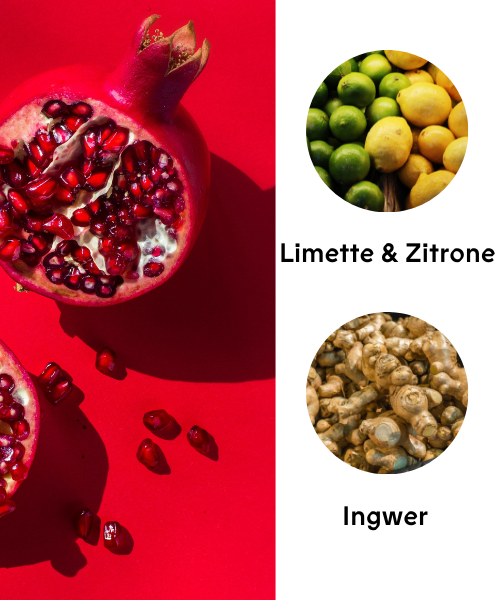 Aromea Genie Hygiene Duft Pomegranate Fusion