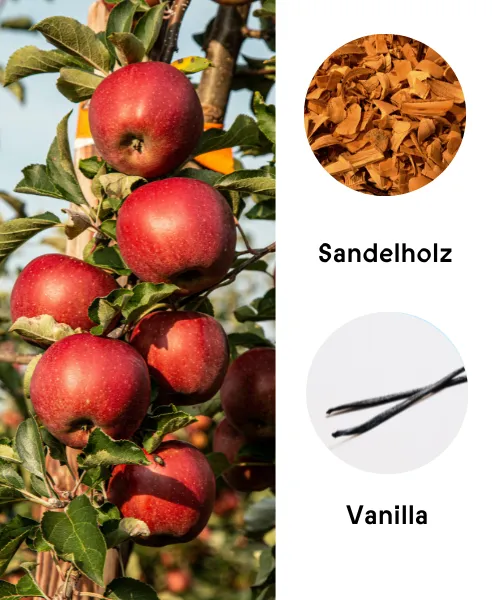 Duftkarte Ambrosia