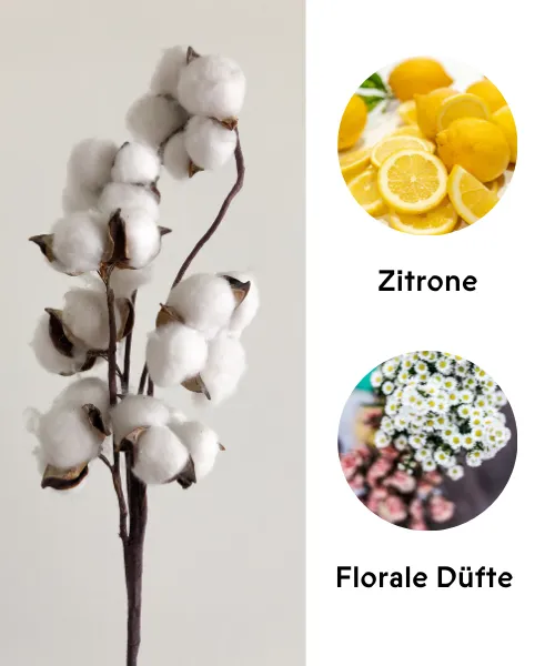 Duftkarte Clean Cotton