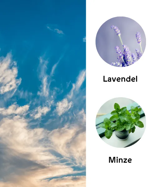 Duftkarte Fresh Air mit Lavendel und Minze