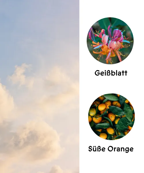 Duftkarte Fresh Clean 2.0 mit Gei&szlig;blatt und S&uuml;&szlig;er Orange