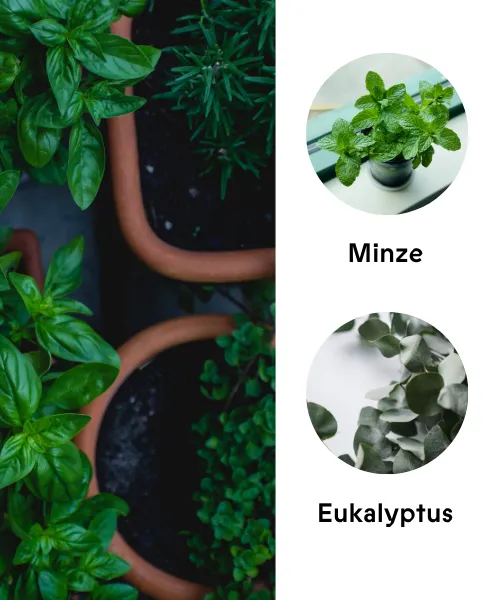 Duftkarte Fresh Garden Herbs