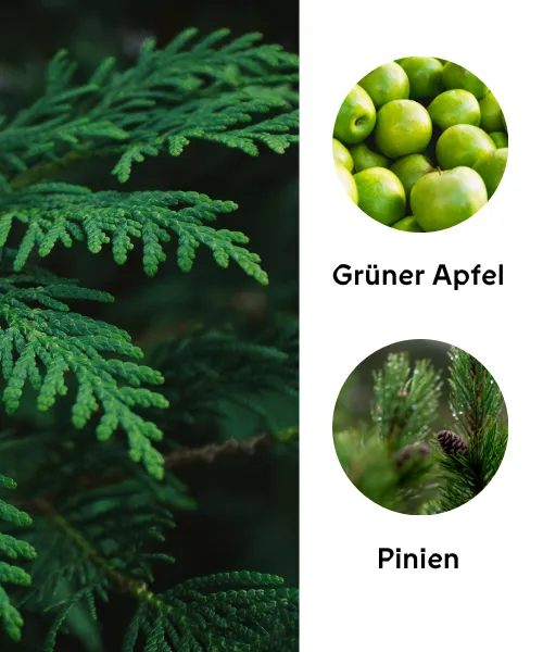 Duftkarte Green Cedar