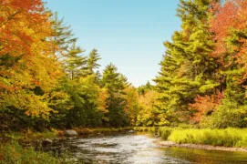 indian-summer