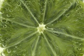 lemonfresh