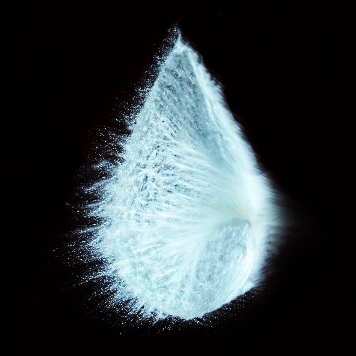 Zerstäubendes Droplet