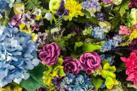 springpower
