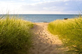 summerbreeze