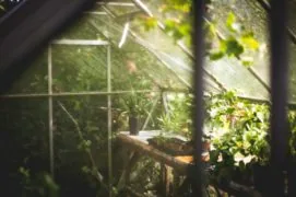 Greenhouse Aromea Duft